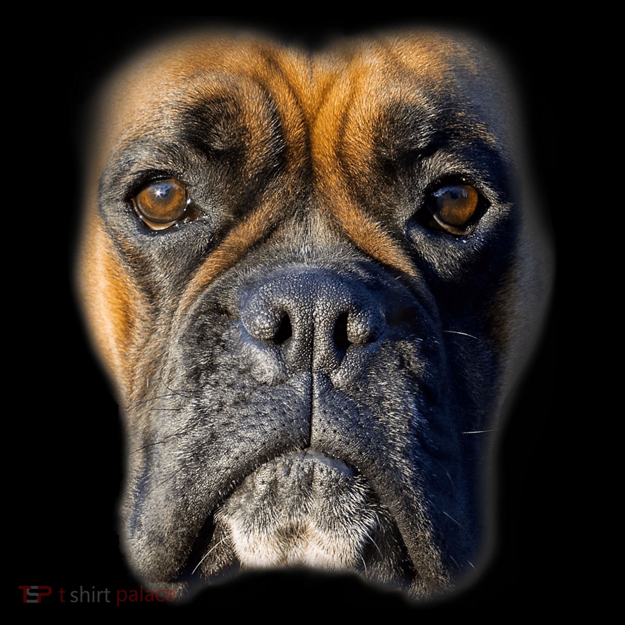 Animal Lover Gift Boxer Face Funny Dog Lovers Tshirt Women's Hoodie