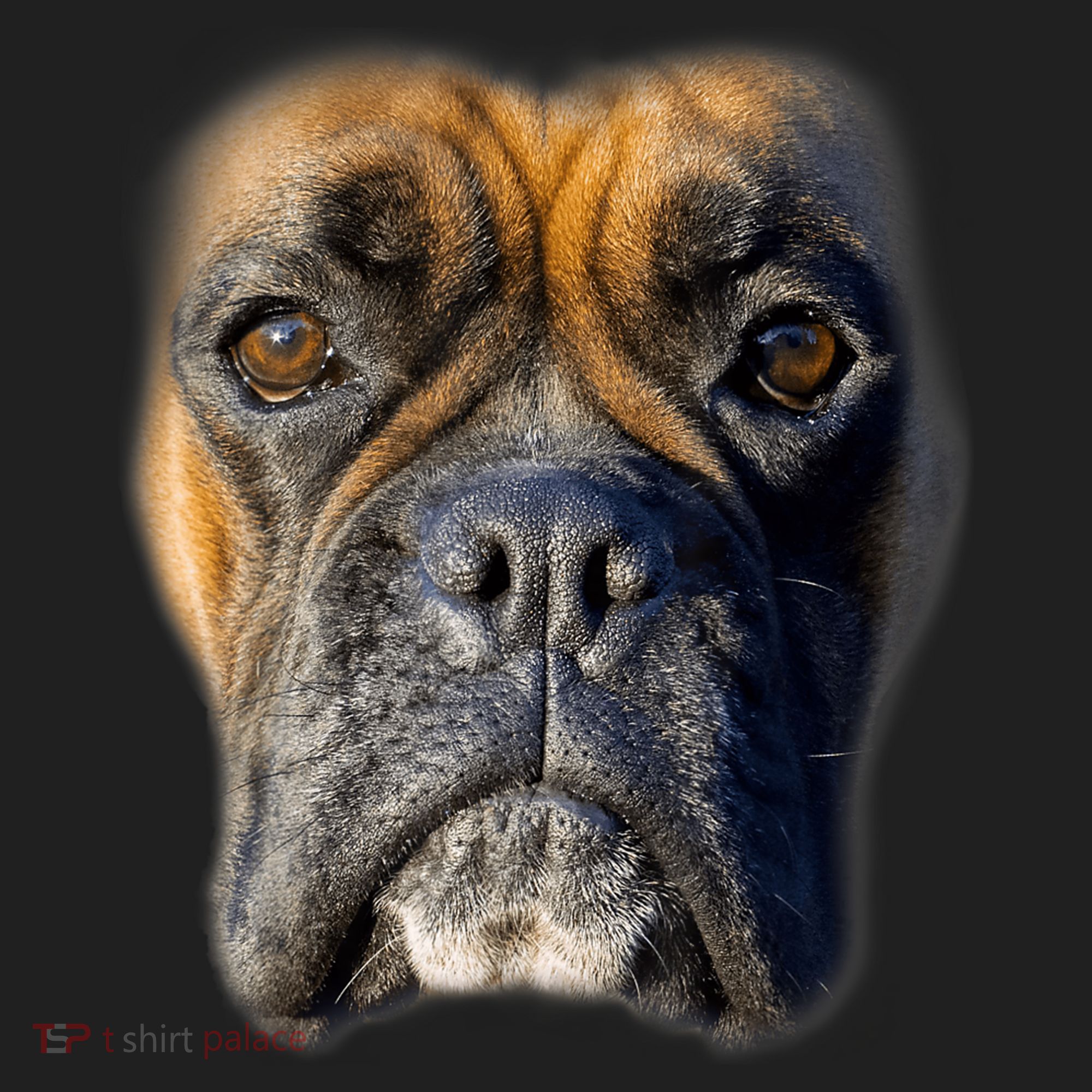 Animal Lover Gift Boxer Face Funny Dog Lovers Tshirt Hat