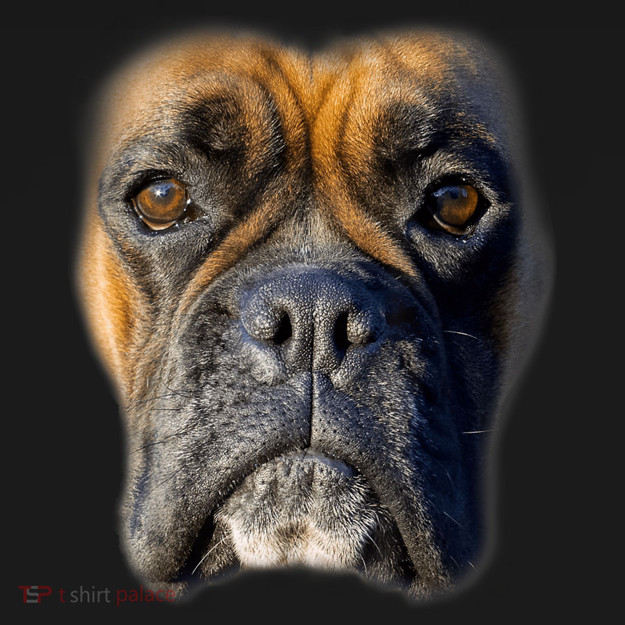 Animal Lover Gift Boxer Face Funny Dog Lovers Tshirt Toddler Hoodie