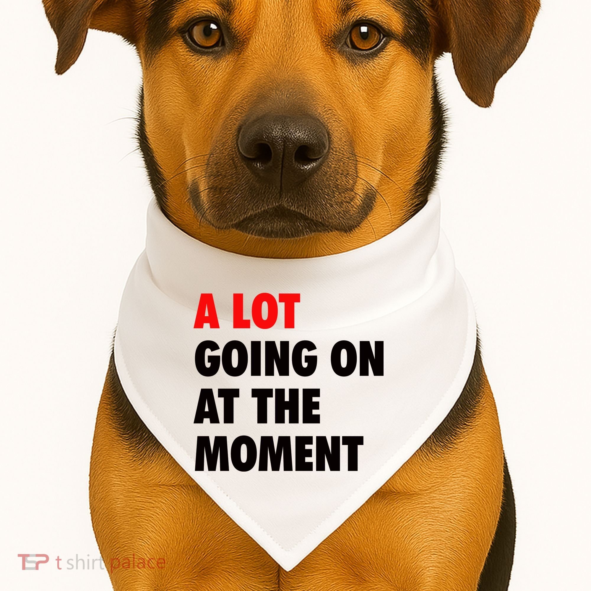 A Lot Going On At The Moment USA-Made Doggie Bandana
