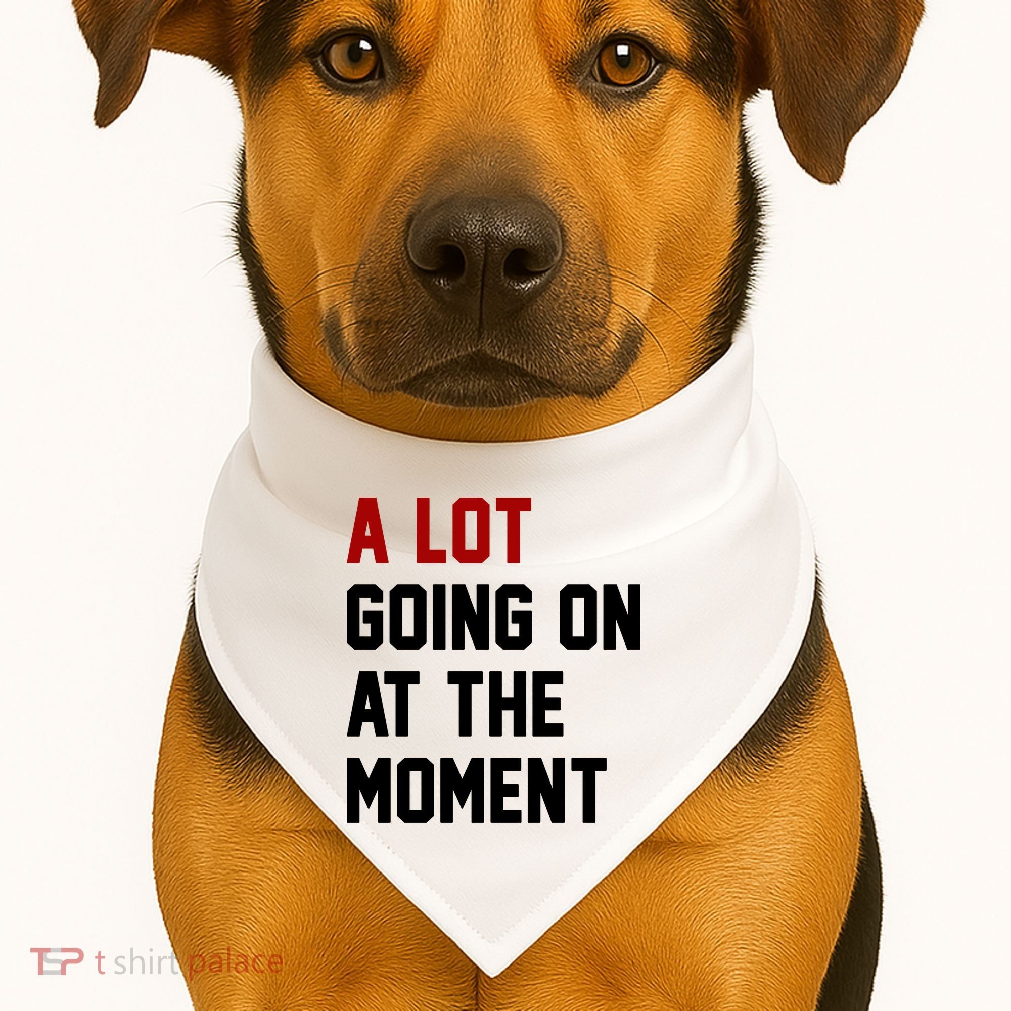 A Lot Going On At The Moment Funny Era USA-Made Doggie Bandana