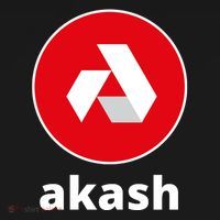 Akash Logo Hodl Akash Akash Network Crypto Akash Crypto Toddler Hoodie thumb 2