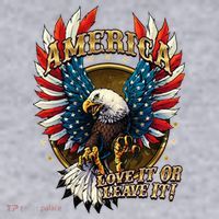 America Love It Or Leave It Patriotic Eagle Women's Sweatshirt thumb 2