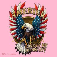 America Love It Or Leave It Patriotic Eagle Coaster thumb 2