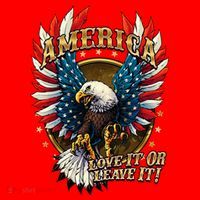 America Love It Or Leave It Patriotic Eagle Santa Hat thumb 1