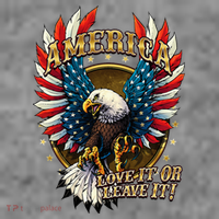 America Love It Or Leave It Patriotic Eagle Toddler Hoodie thumb 2