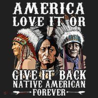 America Love It Or Give It Back Native American Forever Beanie thumb 2
