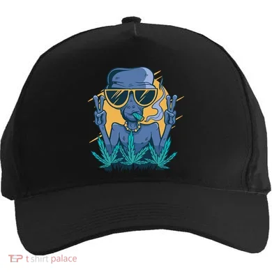 Alien Joint Five-Panel Snapback Cap