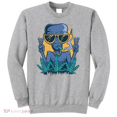 Alien Joint Sweatshirt