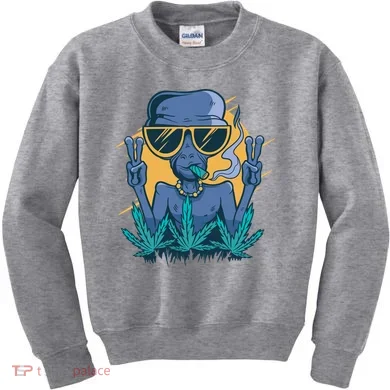 Alien Joint Kids Sweatshirt