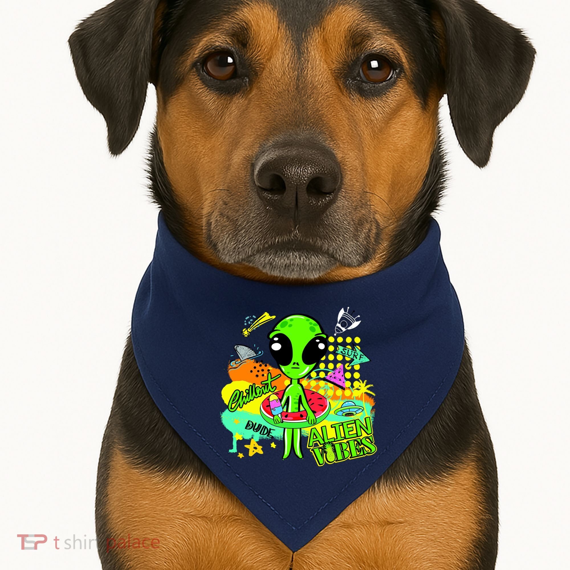 Alien Vibes Summertime USA-Made Doggie Bandana