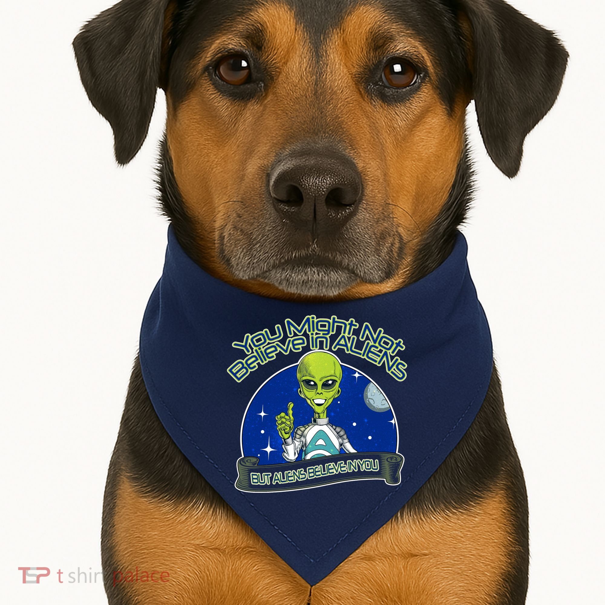 Aliens Believe In You USA-Made Doggie Bandana