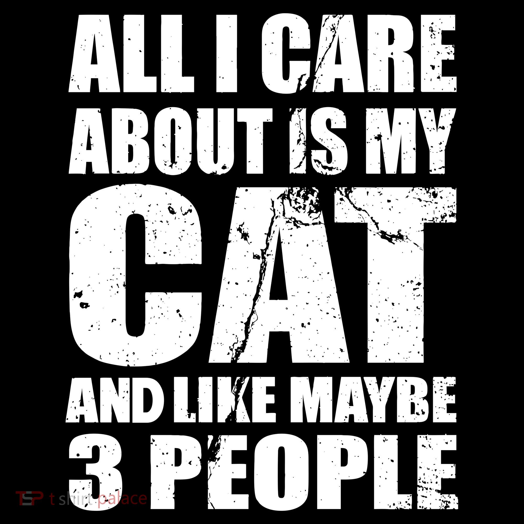 All I Care About Is My Cat And Like 3 People Women's Hoodie