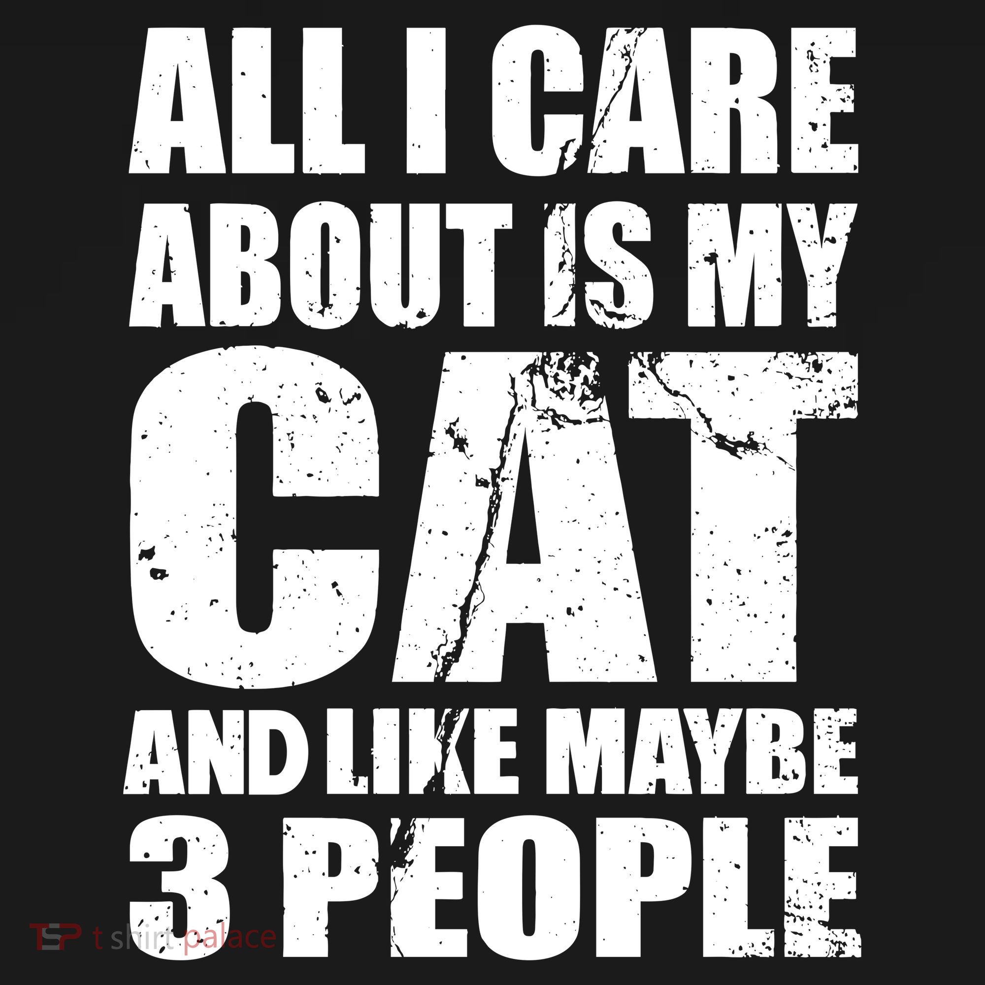 All I Care About Is My Cat And Like 3 People Women's Tank Top