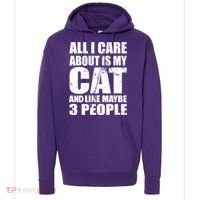 All I Care About Is My Cat And Like 3 People Hoodie thumb 0