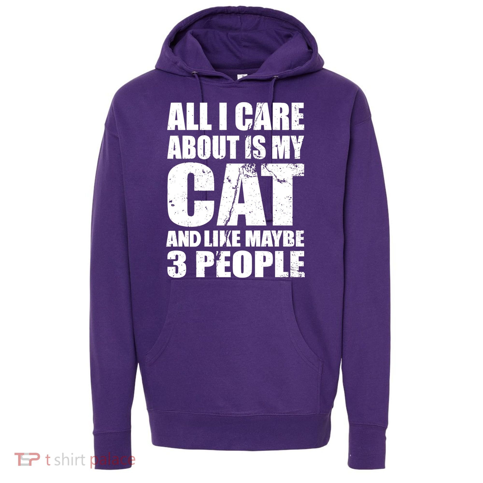 All I Care About Is My Cat And Like 3 People Hoodie