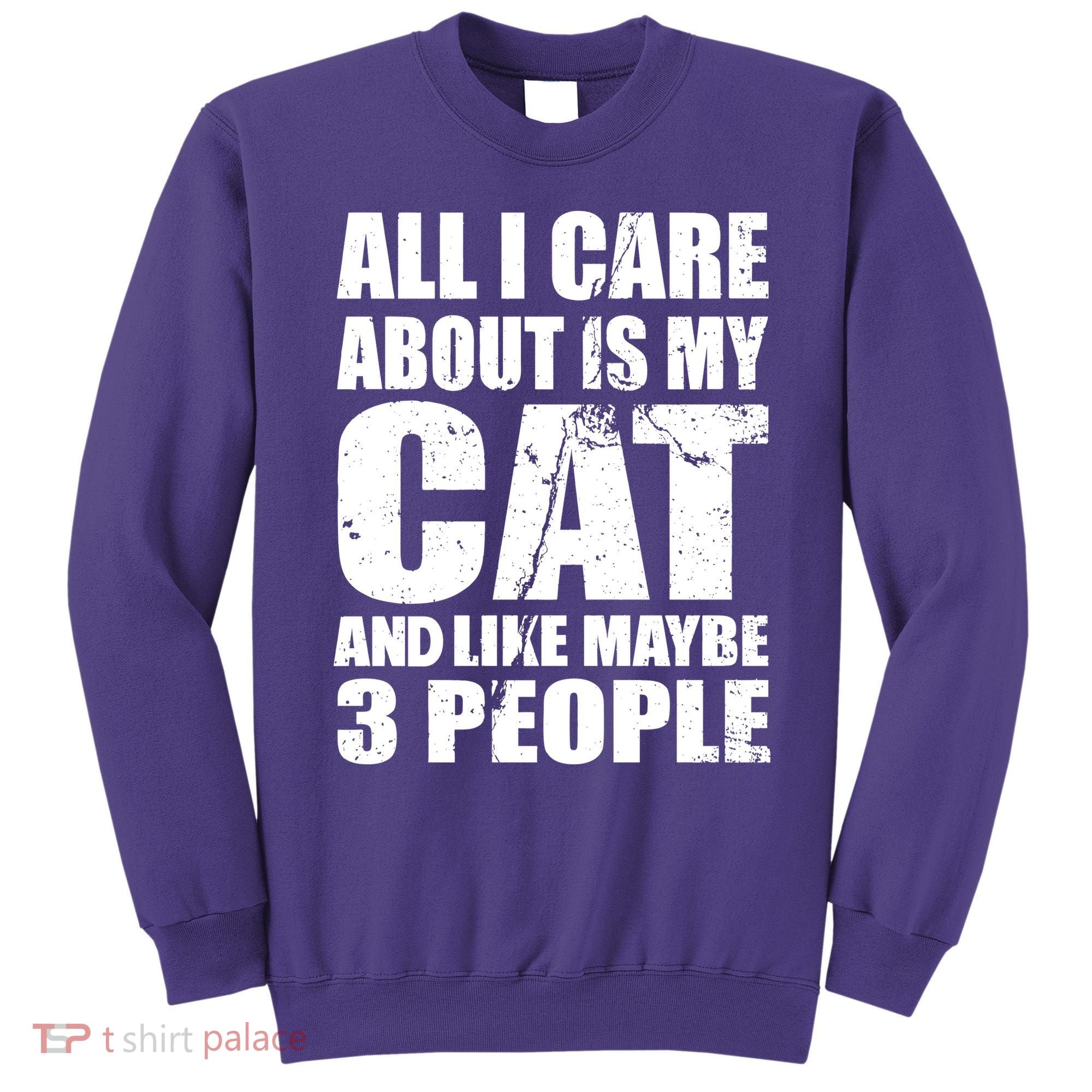 All I Care About Is My Cat And Like 3 People Sweatshirt