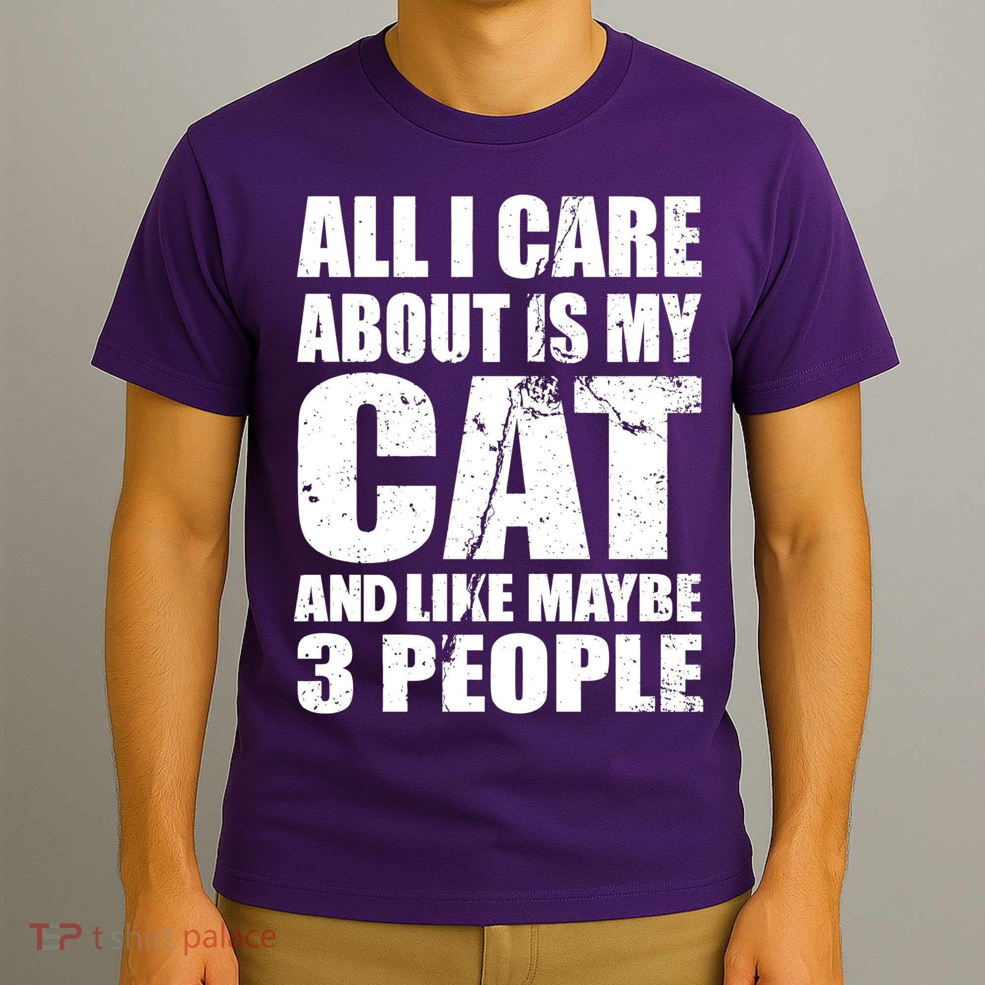 All I Care About Is My Cat And Like 3 People T-Shirt
