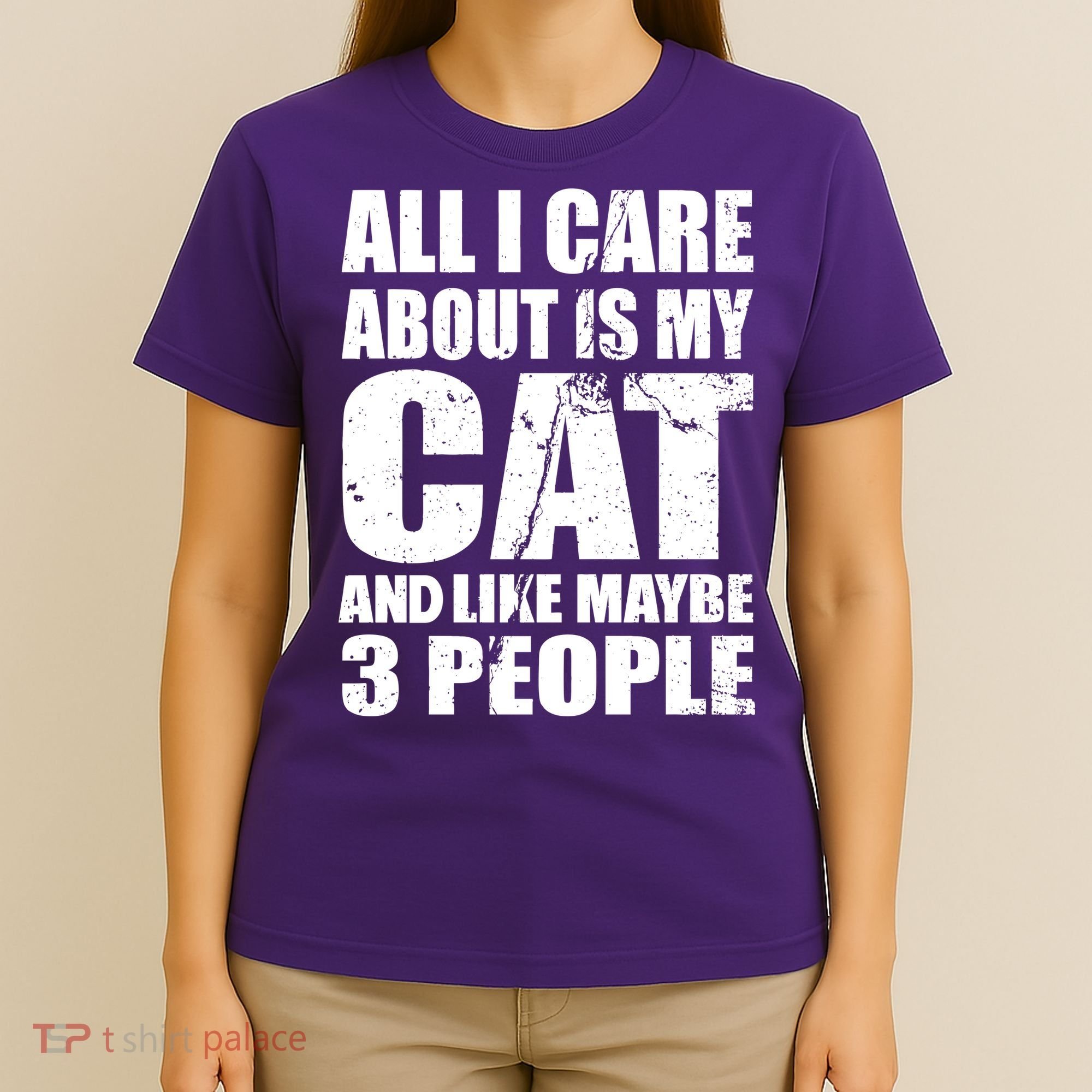 All I Care About Is My Cat And Like 3 People T-Shirt