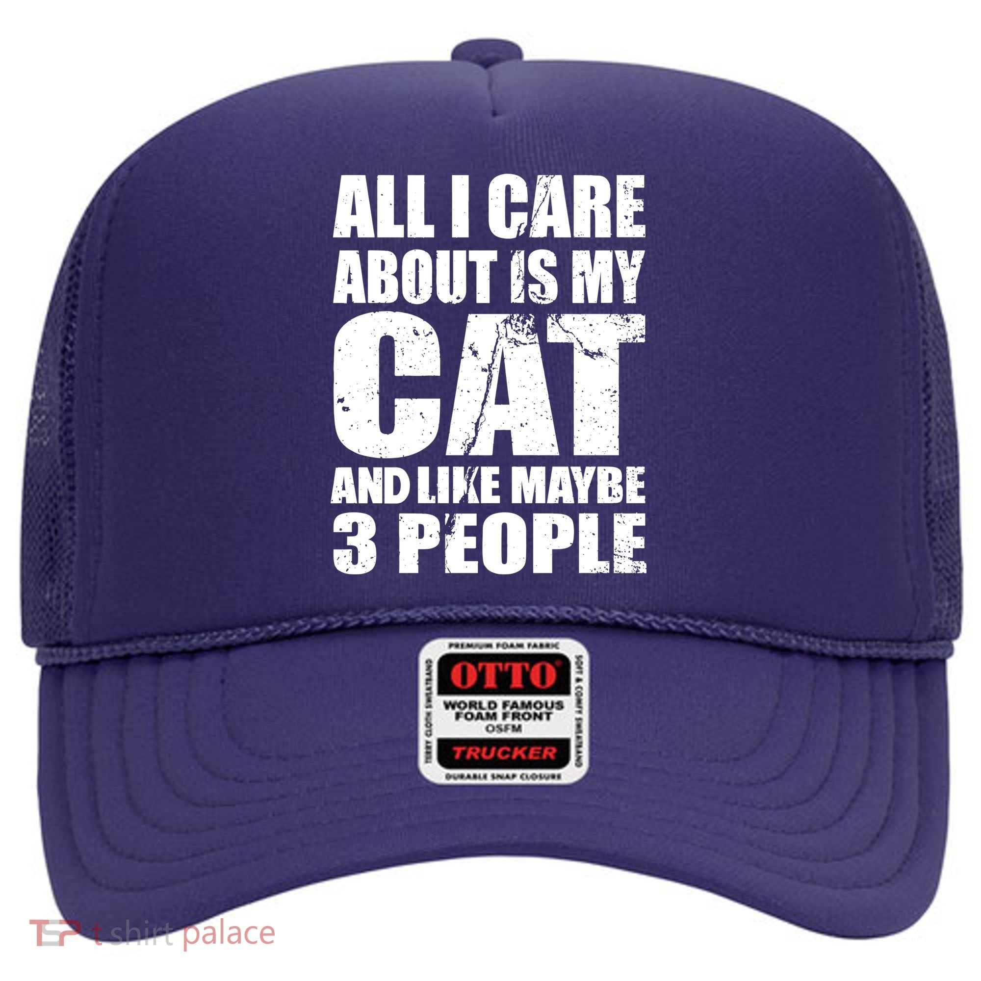 All I Care About Is My Cat And Like 3 People Hat