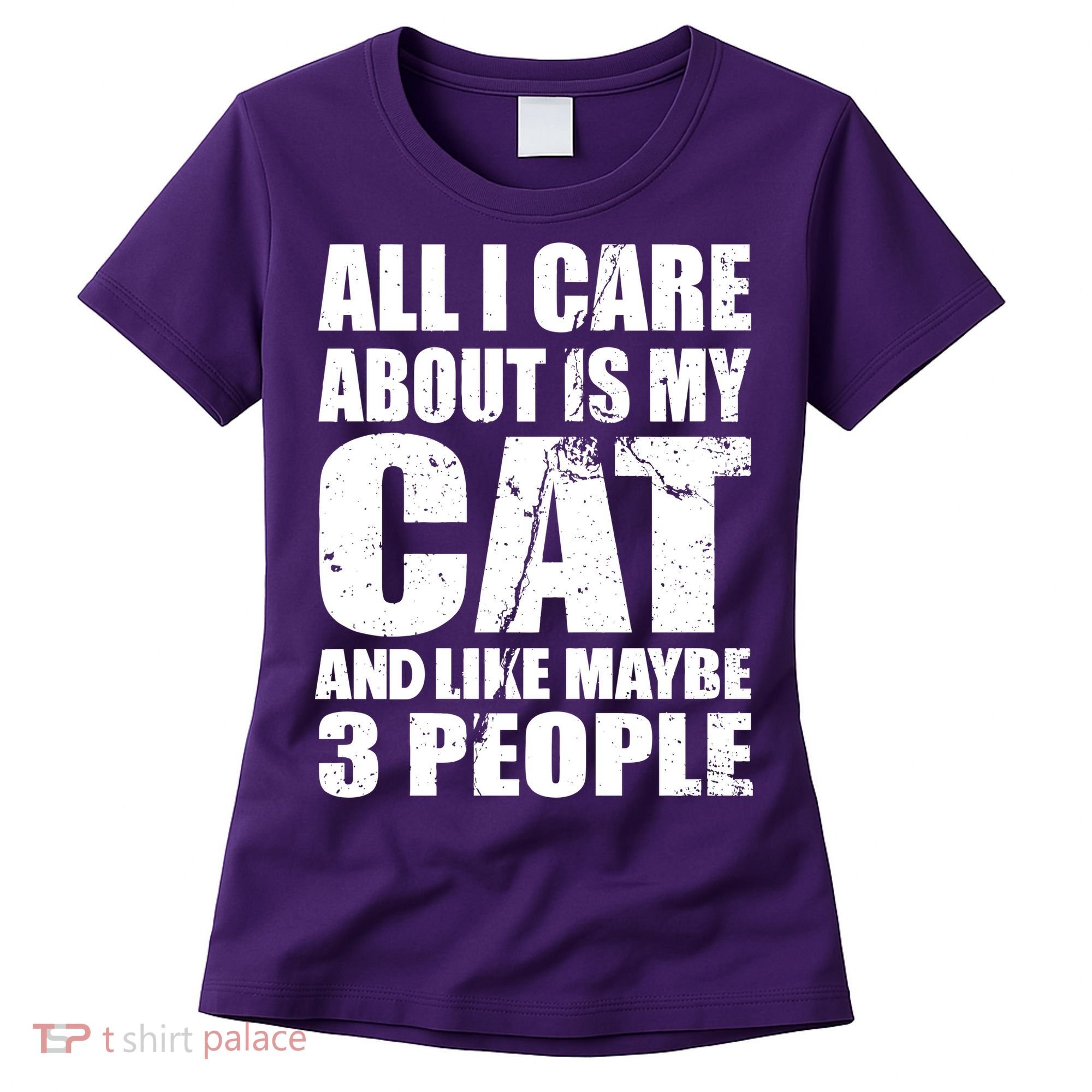 All I Care About Is My Cat And Like 3 People Women's T-Shirt