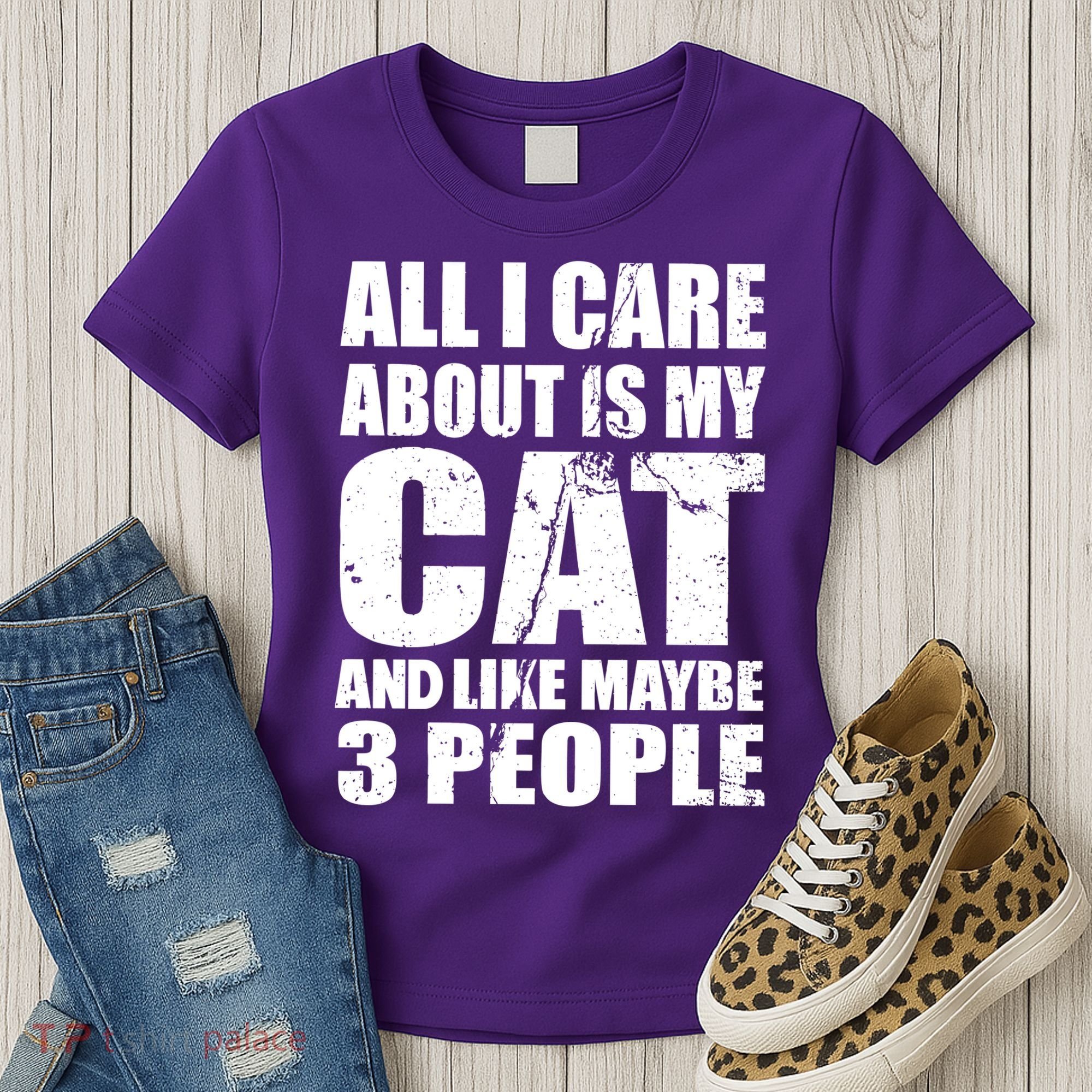 All I Care About Is My Cat And Like 3 People Women's T-Shirt