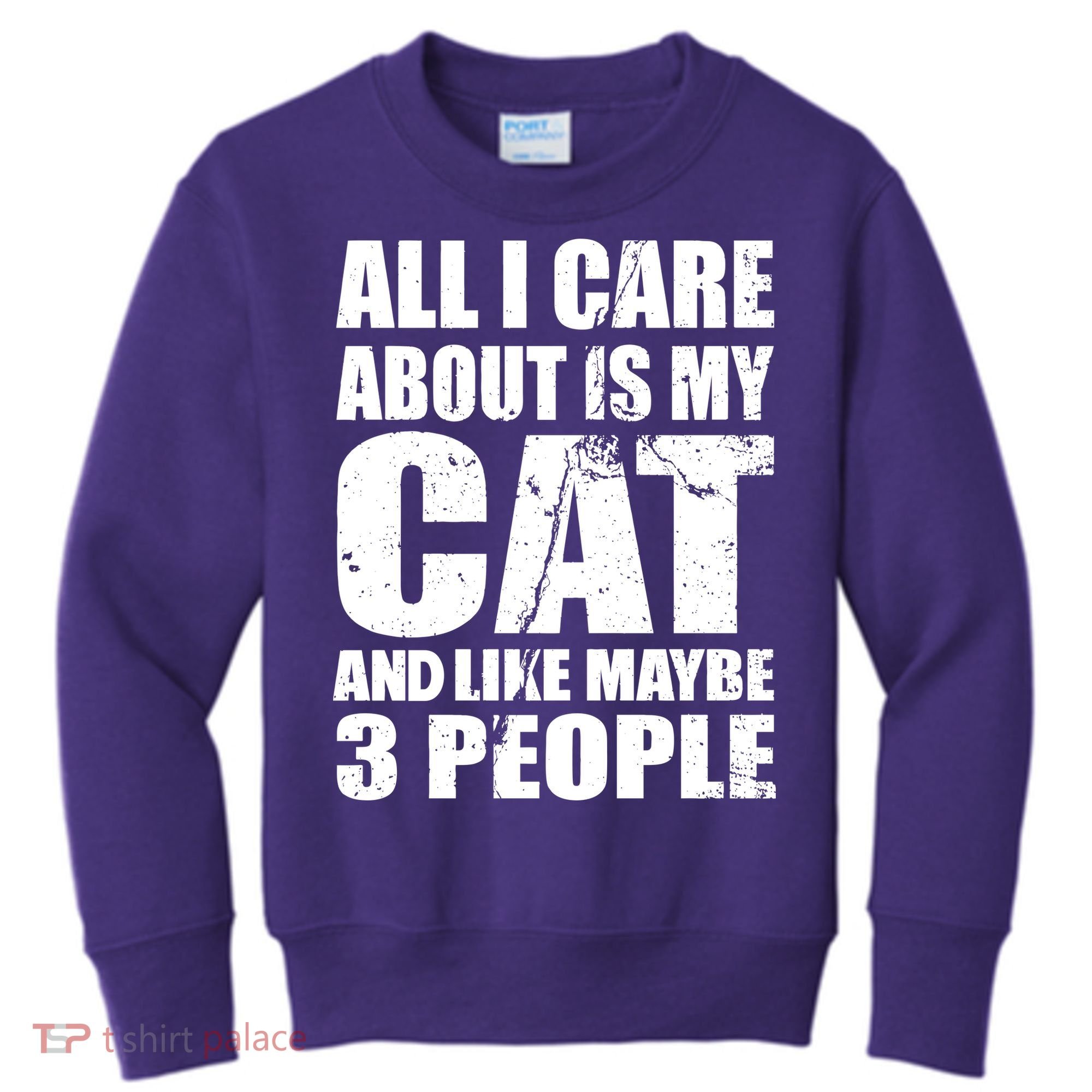 All I Care About Is My Cat And Like 3 People Kids Sweatshirt