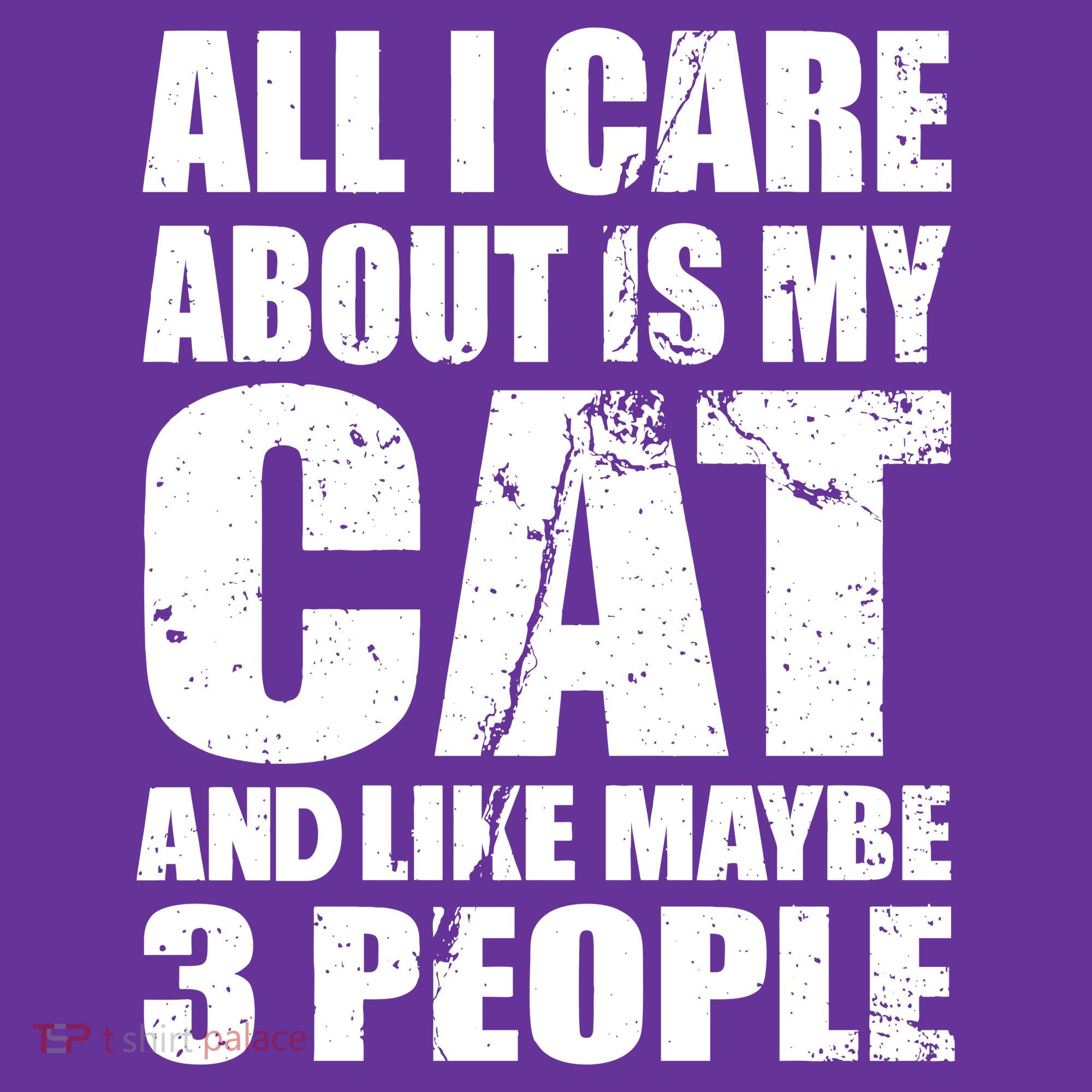 All I Care About Is My Cat And Like 3 People Kids Sweatshirt