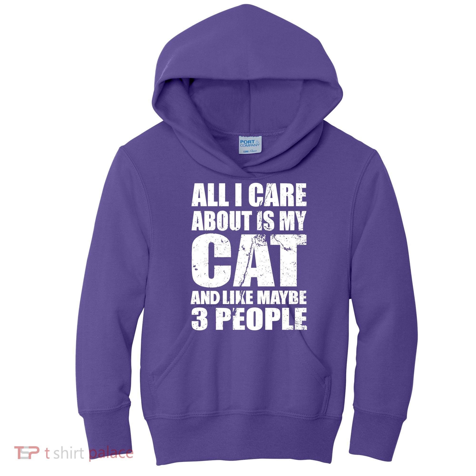 All I Care About Is My Cat And Like 3 People Kids Hoodie