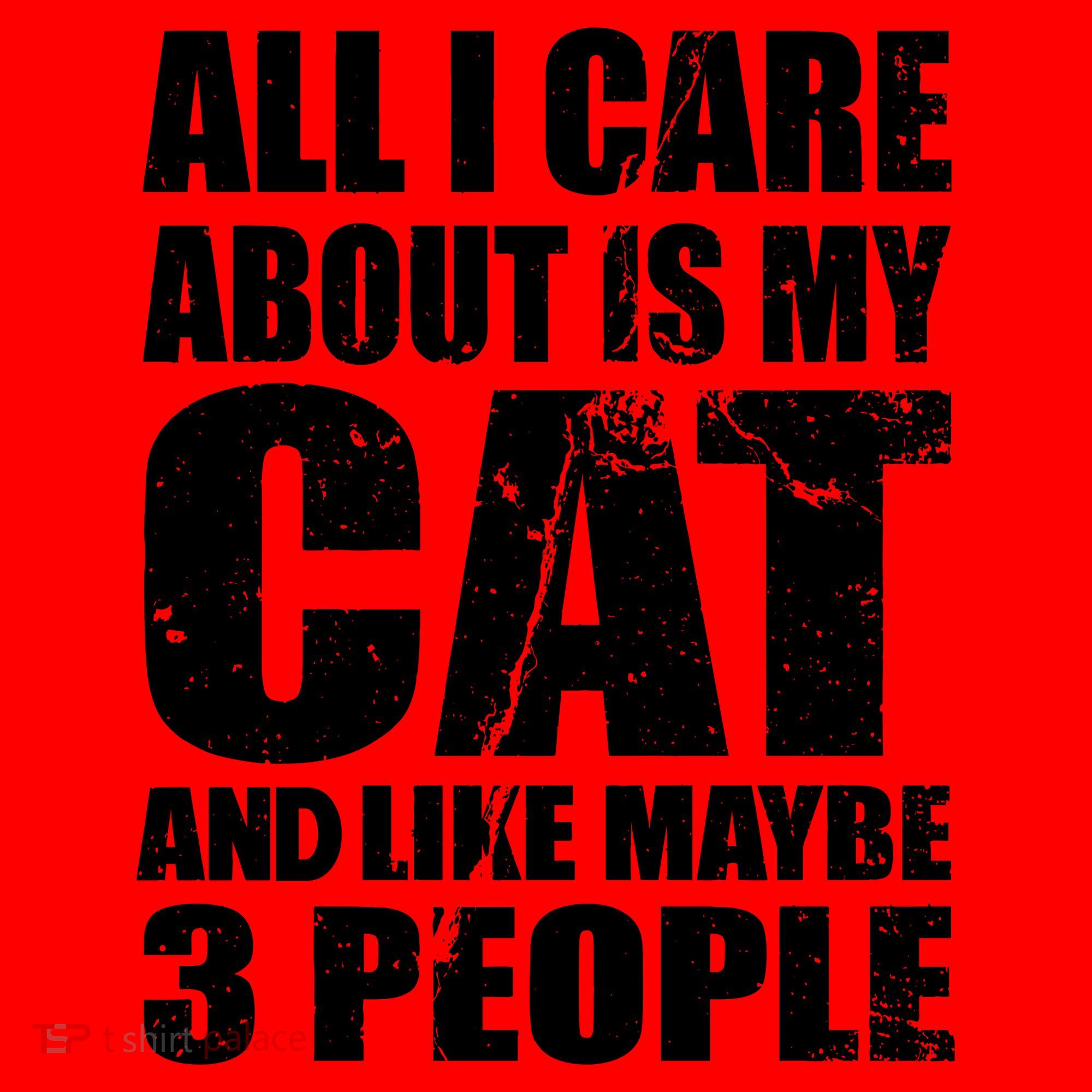 All I Care About Is My Cat And Like 3 People Santa Hat