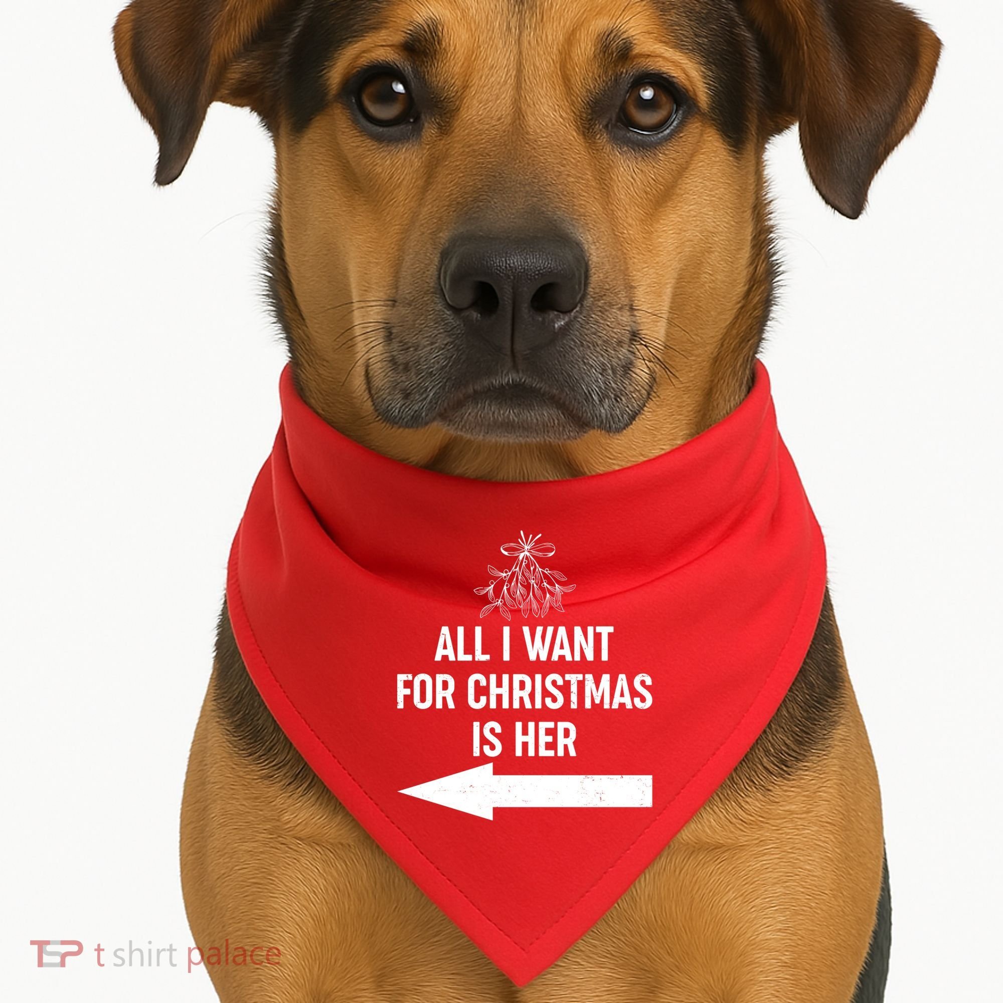 All I Want For Christmas Is Her Matching Couples USA-Made Doggie Bandana
