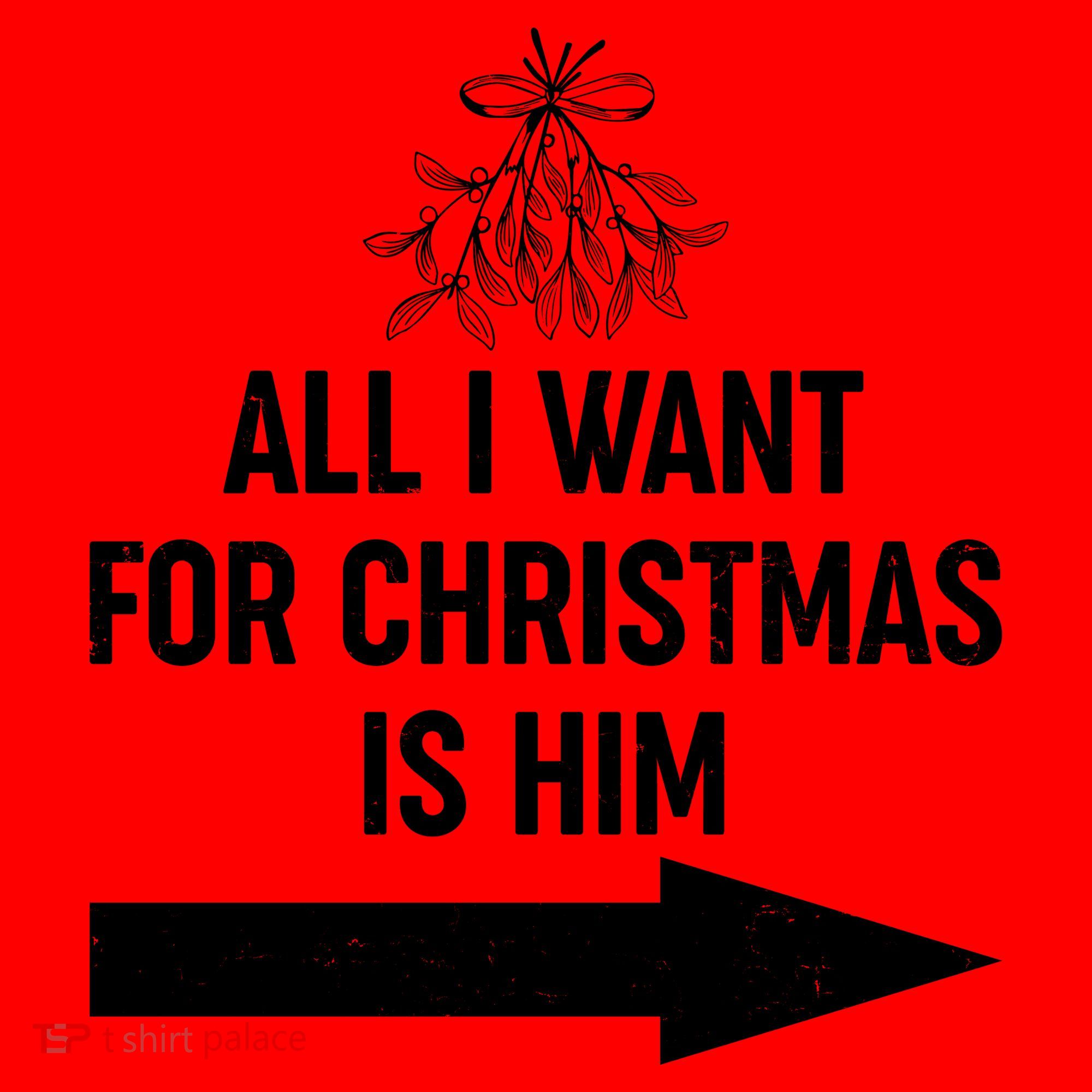 All I Want For Christmas Is Him Matching Couples Santa Hat