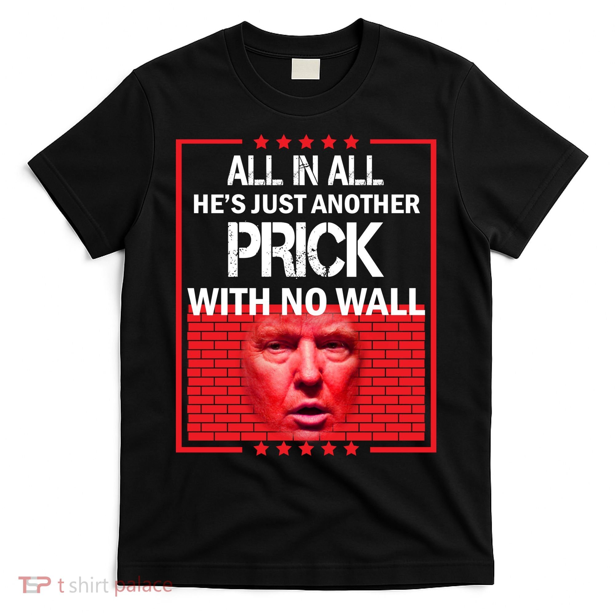 All In All He's Just Another Prick With No Wall T-Shirt