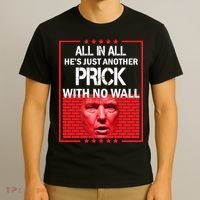 All In All He's Just Another Prick With No Wall T-Shirt thumb 3