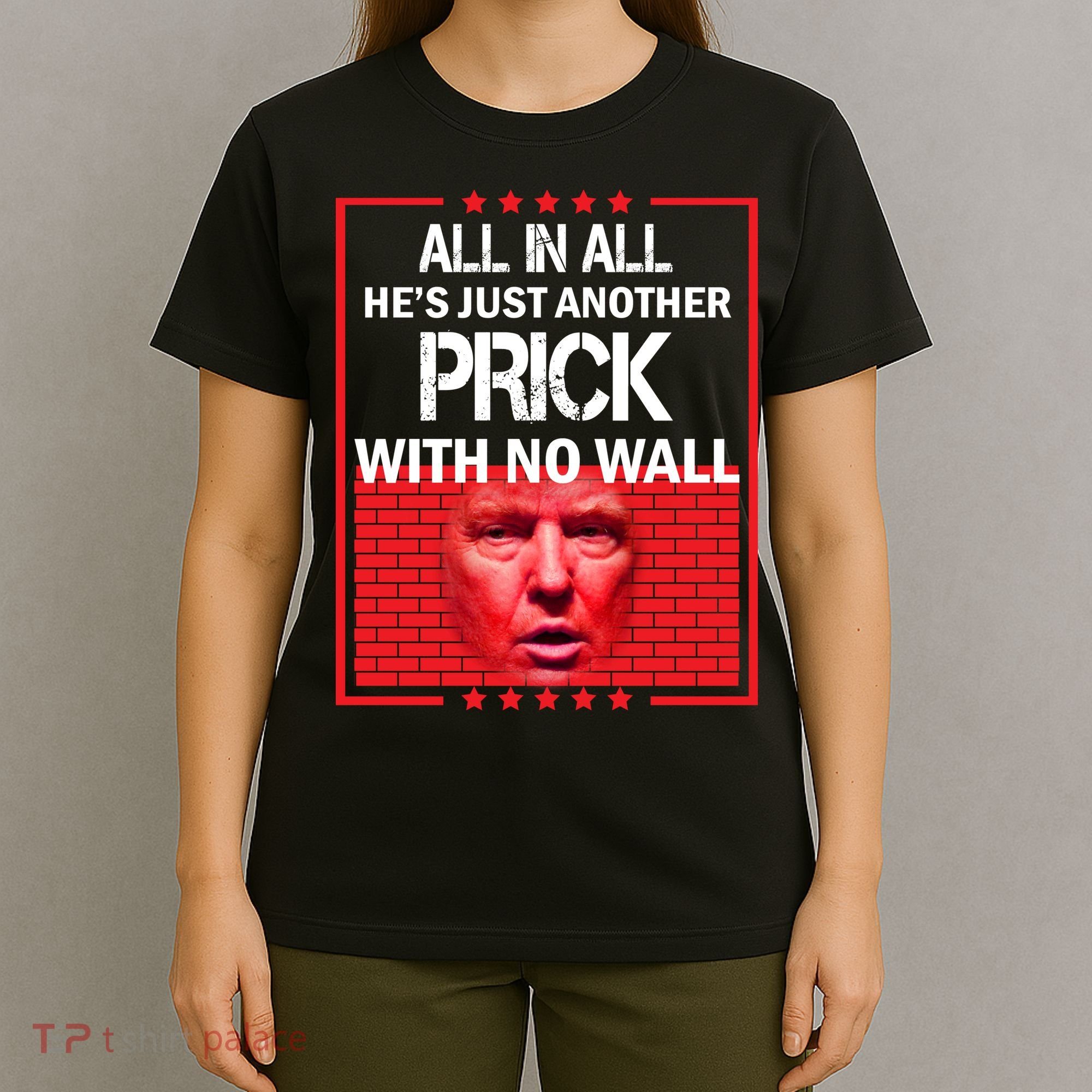 All In All He's Just Another Prick With No Wall T-Shirt