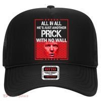 All In All He's Just Another Prick With No Wall Hat thumb 0
