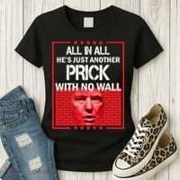 All In All He's Just Another Prick With No Wall Women's T-Shirt thumb 3