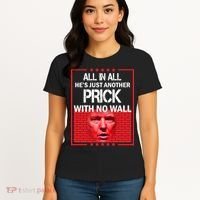 All In All He's Just Another Prick With No Wall Women's T-Shirt thumb 4