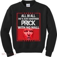 All In All He's Just Another Prick With No Wall Kids Sweatshirt thumb 0