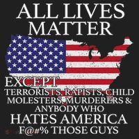 All Lives Matter EXCEPT Pro American Beanie thumb 2