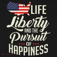 America Life Liberty And The Pursuit Of Happiness Hoodie thumb 2