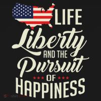 America Life Liberty And The Pursuit Of Happiness T-Shirt thumb 7