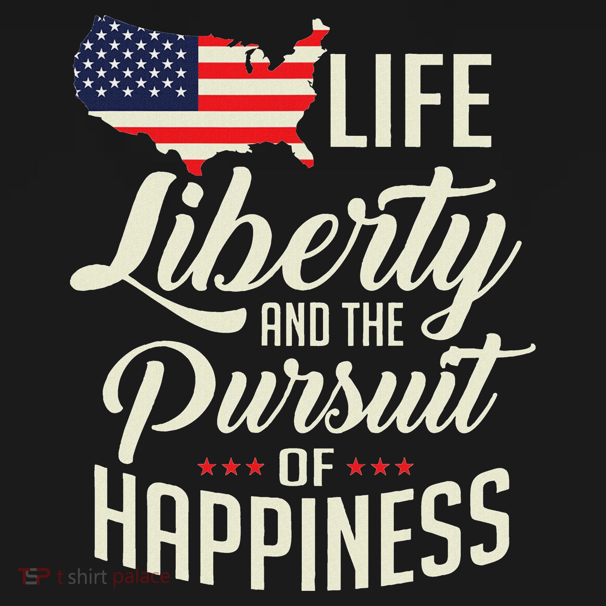 America Life Liberty And The Pursuit Of Happiness T-Shirt