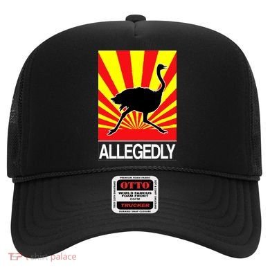 Allegedly Ostrich Hat