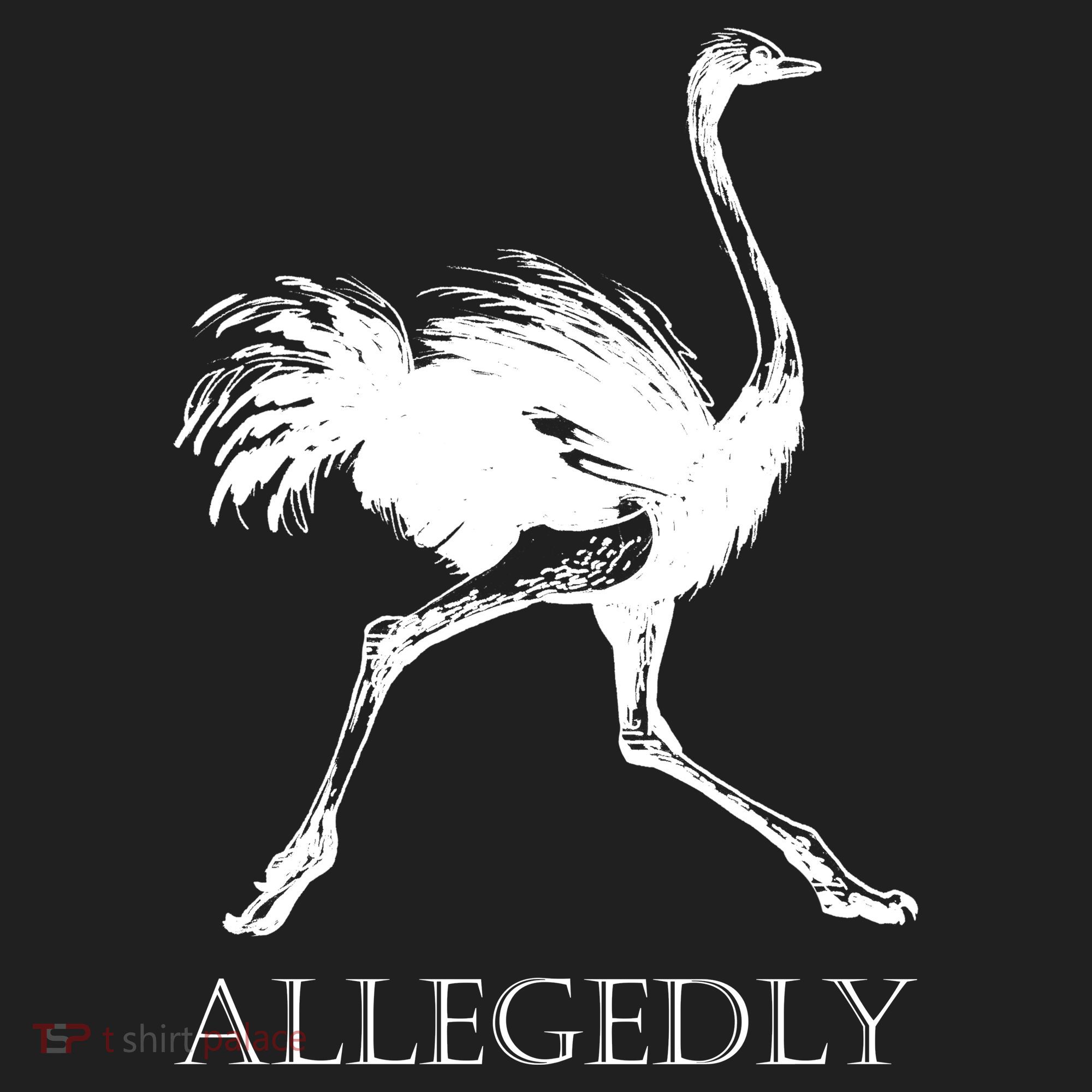 Allegedly Ostrich Flightless Bird Women's Sweatshirt