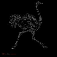 Allegedly Ostrich Flightless Bird Coffee Mug thumb 5