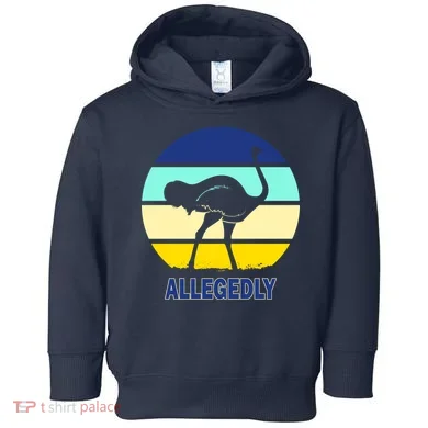Toddler Hoodie
