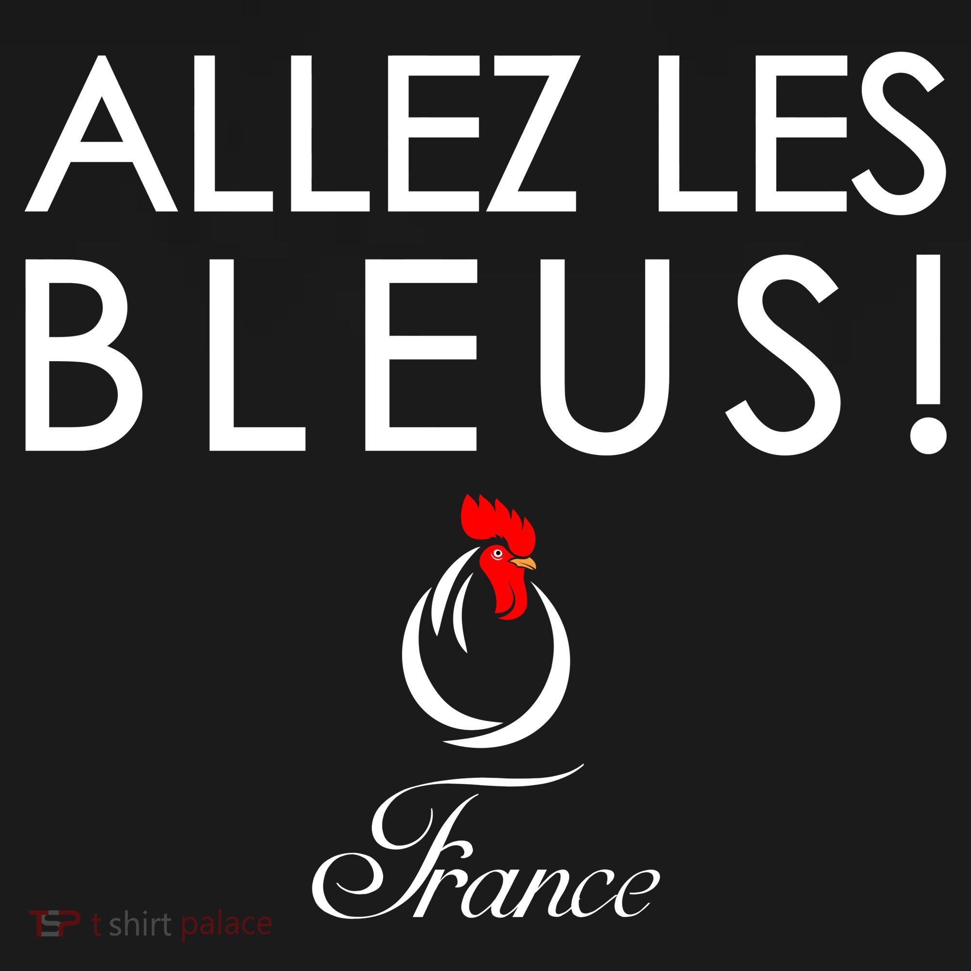 Allez Les Bleus France Soccer1 Women's Hoodie