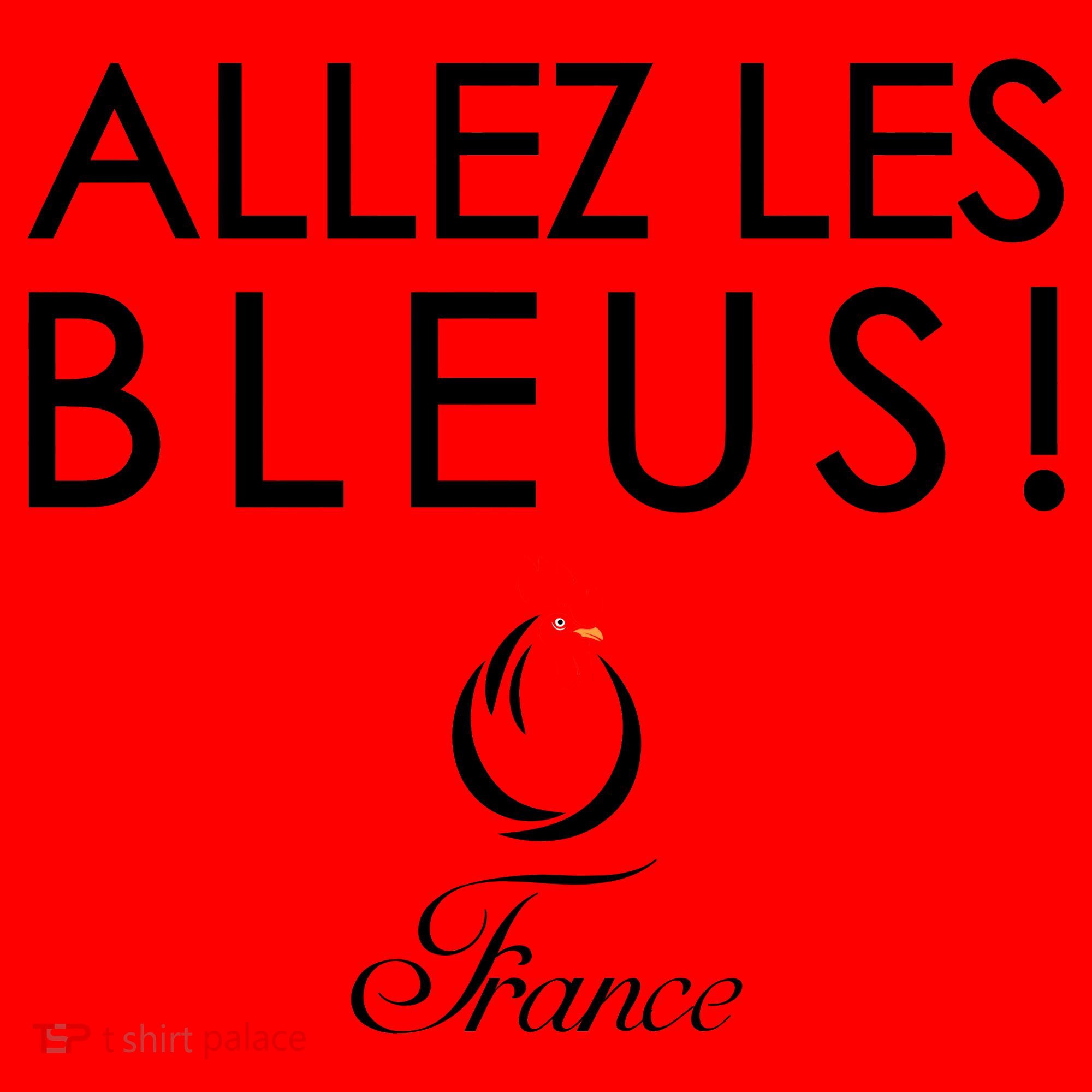 Allez Les Bleus France Soccer1 Santa Hat