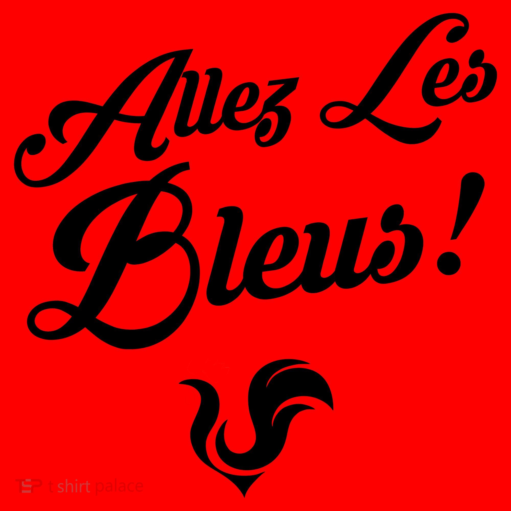 Allez Les Bleus France Team Chant Soccer Santa Hat